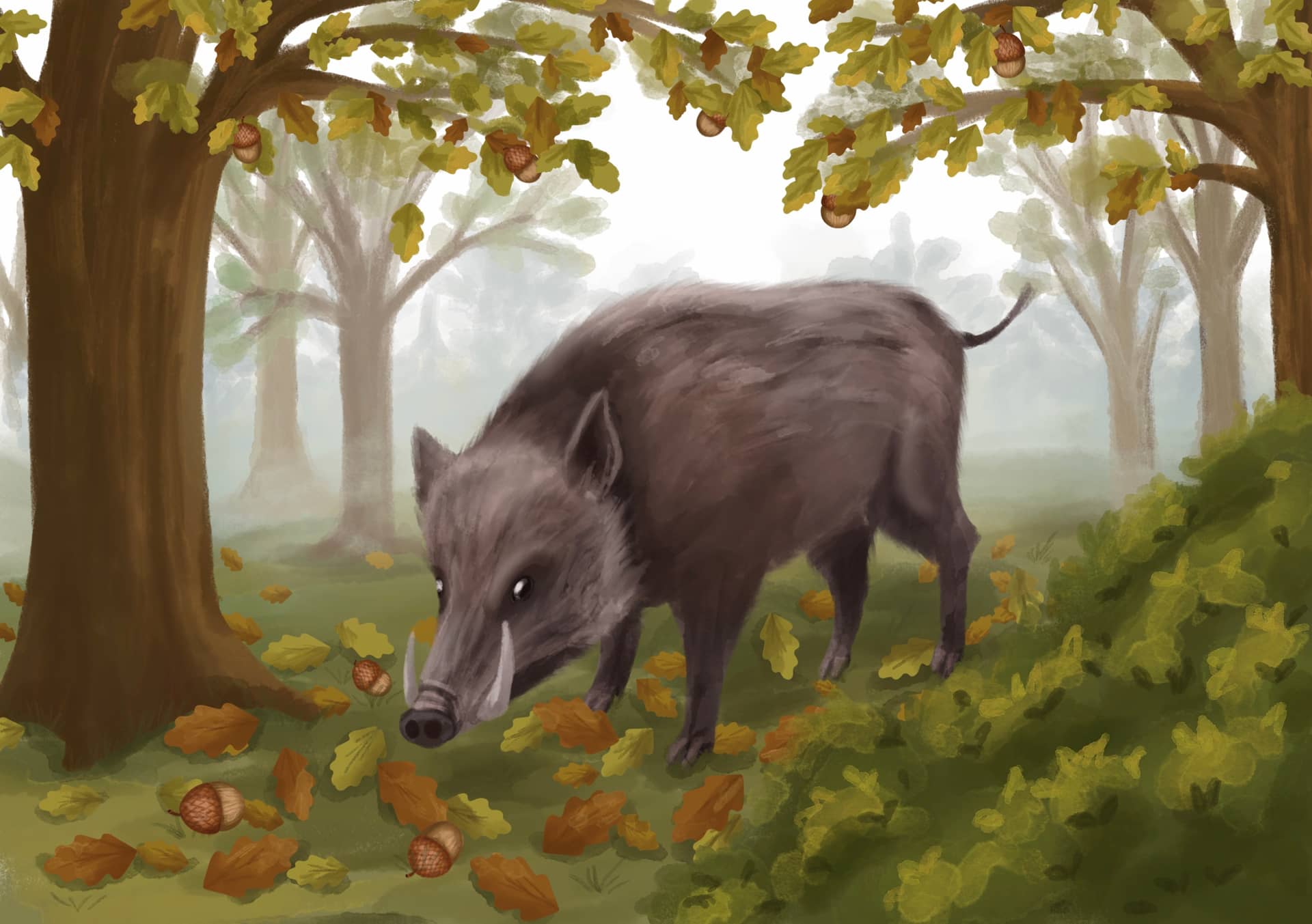 Ілюстрація 2