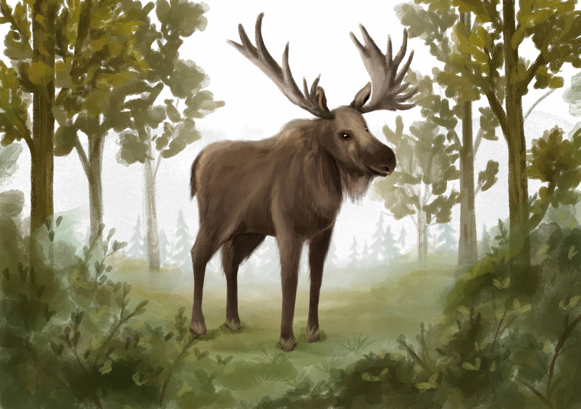 Ілюстрація 3