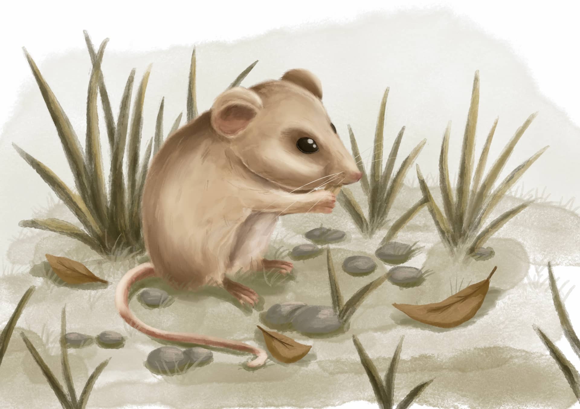 Ілюстрація 4