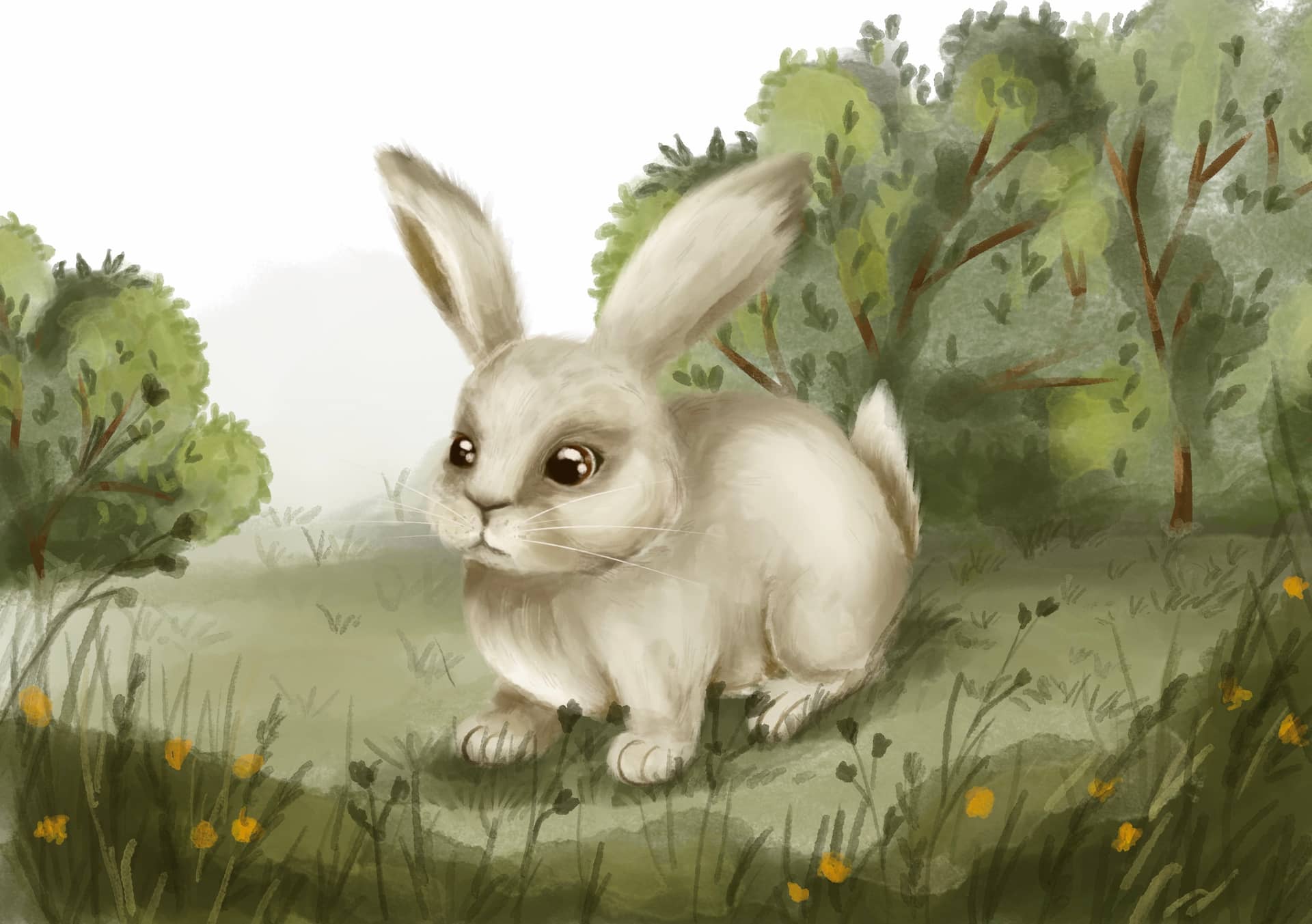 Ілюстрація 5